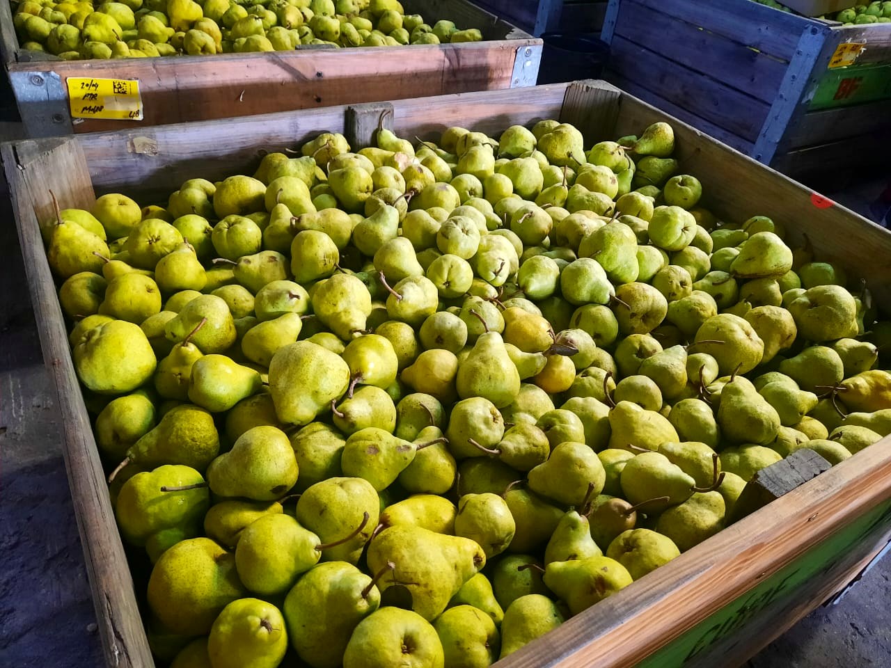 Pears in a stacked wooden crate at the pack-house